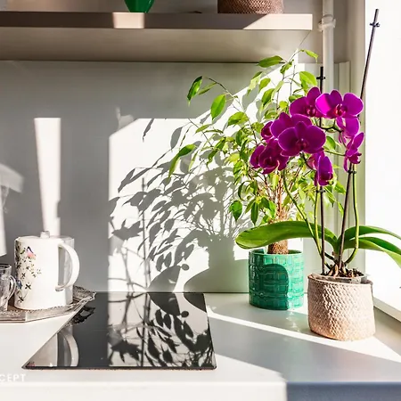 בוקרשט Blissful Retreat Apartment מראה חיצוני תמונה