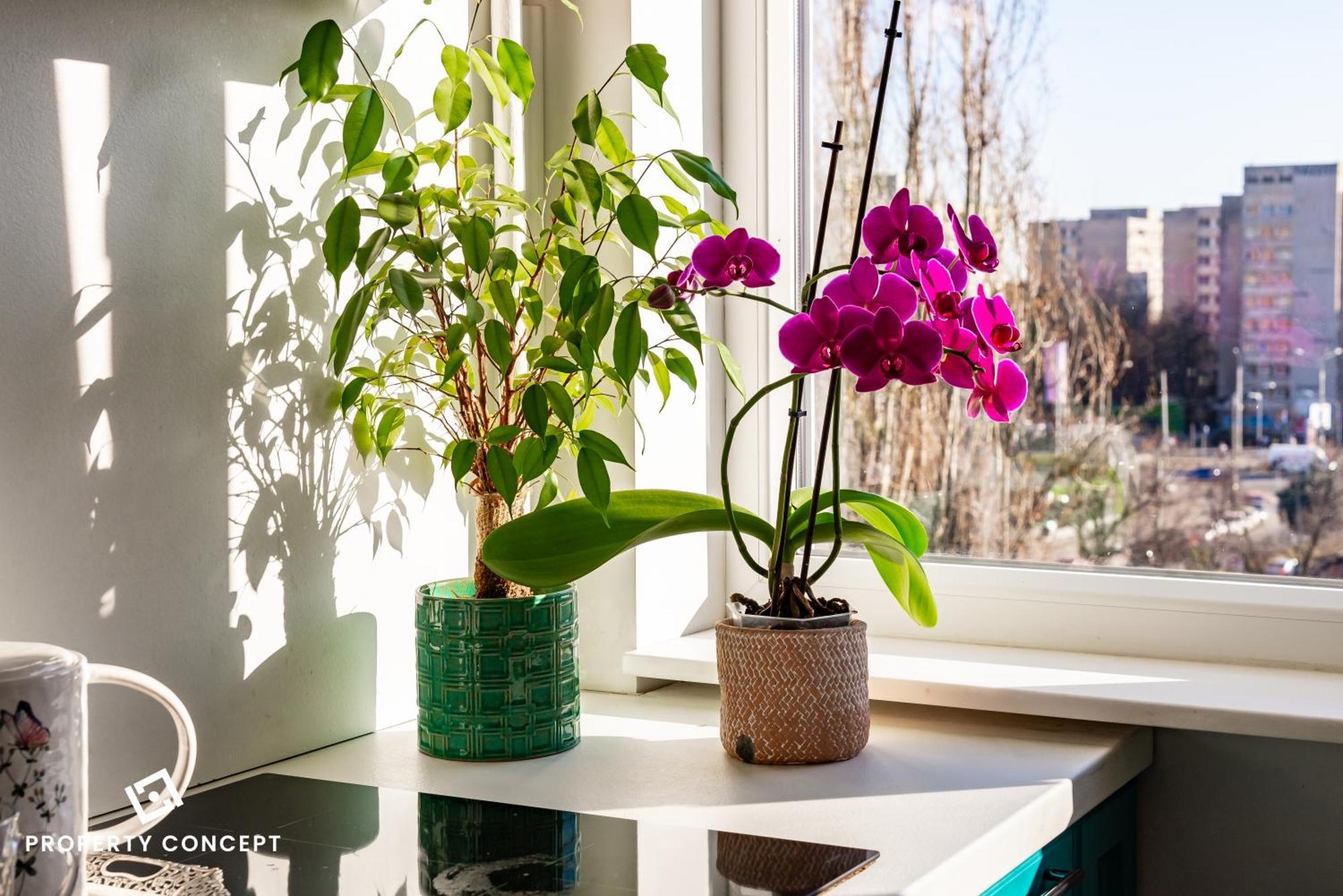 Apartamento Blissful Retreat